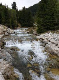 20190527_105428.jpg