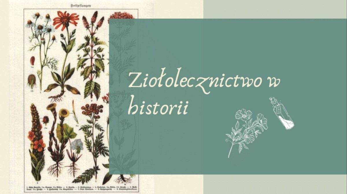 Ziololecznictwo