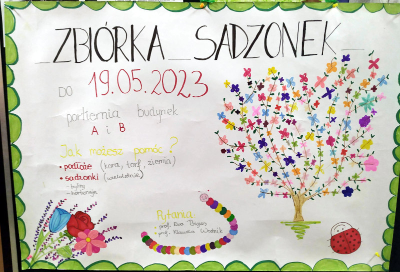 plakat sadzonki