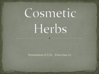 Cosmetic Herbs