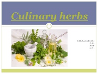 Culinary herbs